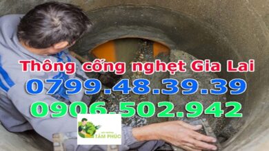 Thông Cống Nghẹt Gia Lai
